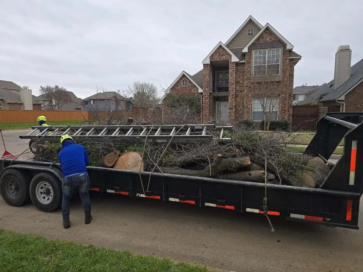 Expert Crown Reduction with proper safety equipment in Grand River